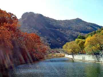 新澳天天开奖资料大全旅游团，耐酸瓷板